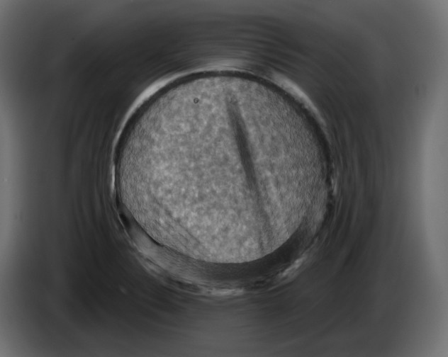X0000084531324200703231644