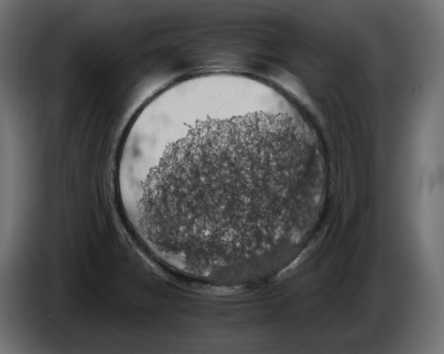 X0000084531325200703231644