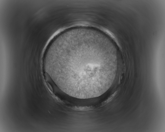 X0000084531326200703231644