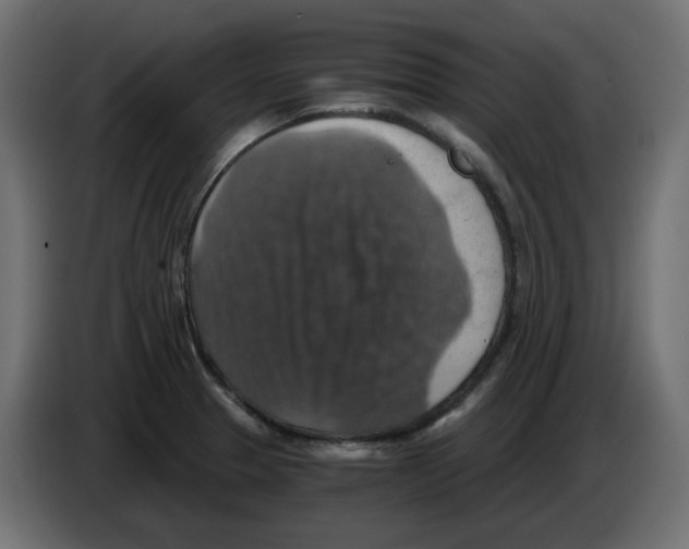 X0000084531329200703231644