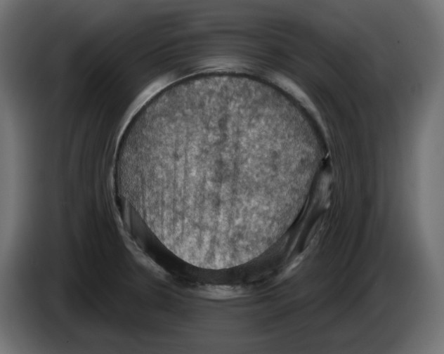 X0000084531330200703231644