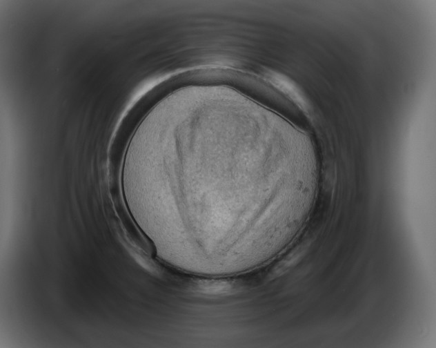 X0000084531332200703231644
