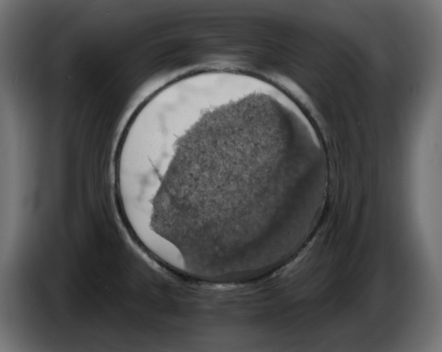 X0000084531335200703231644