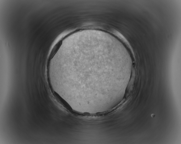 X0000084531336200703231644