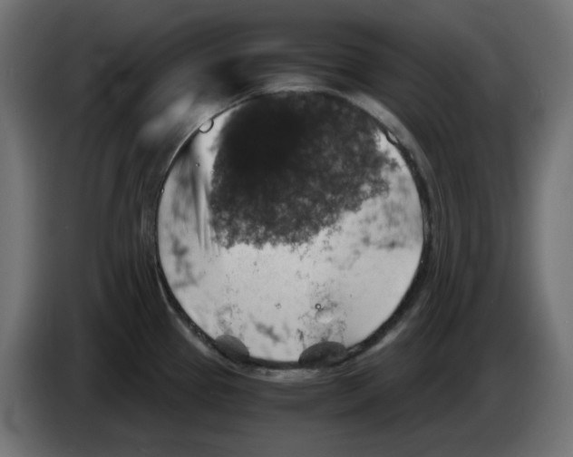 X0000084531337200703231644