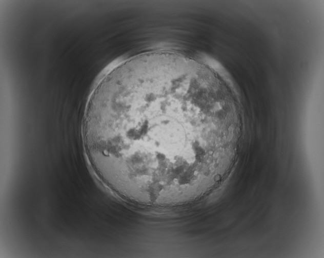 X0000084531338200703231644