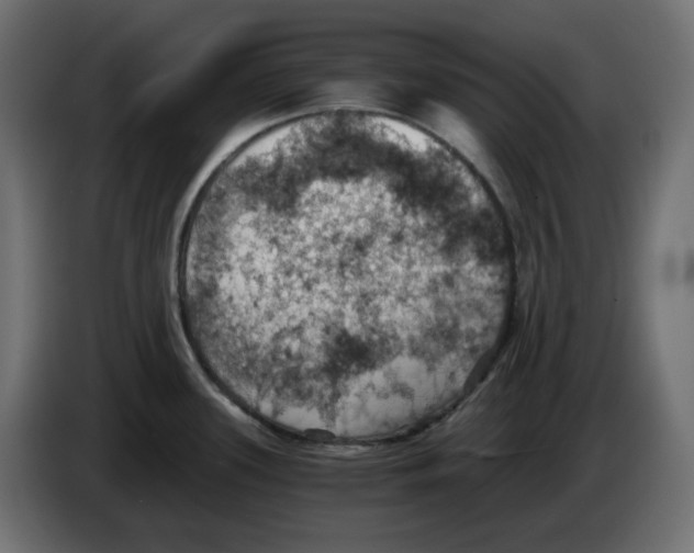 X0000084531339200703231644