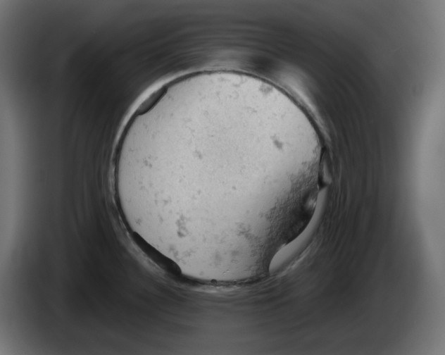 X0000084531340200703231644