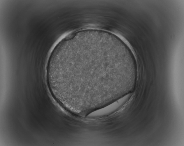X0000084531341200703231644