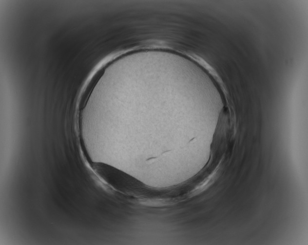 X0000084531342200703231644