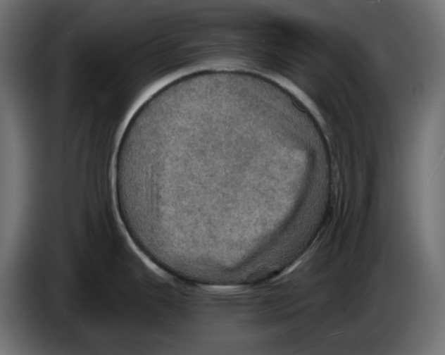 X0000084531343200703231644