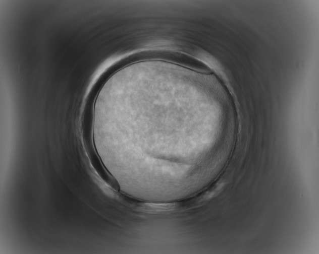 X0000084531344200703231644