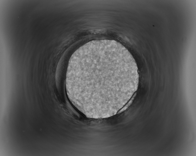 X0000084531345200703231643
