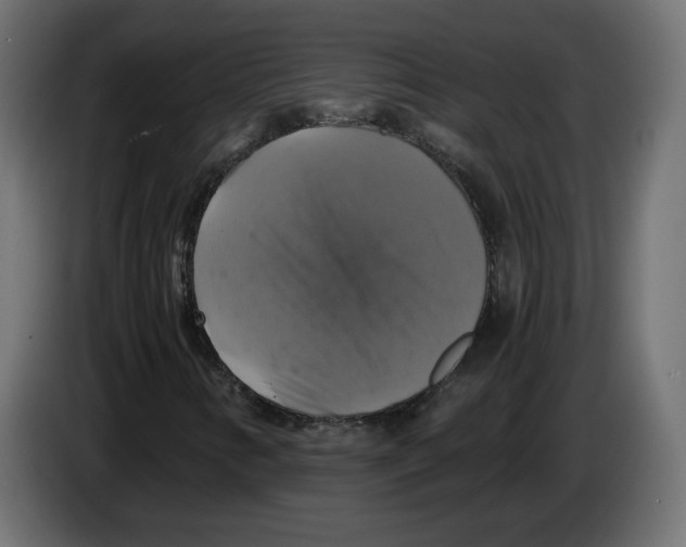 X0000084531346200703231643