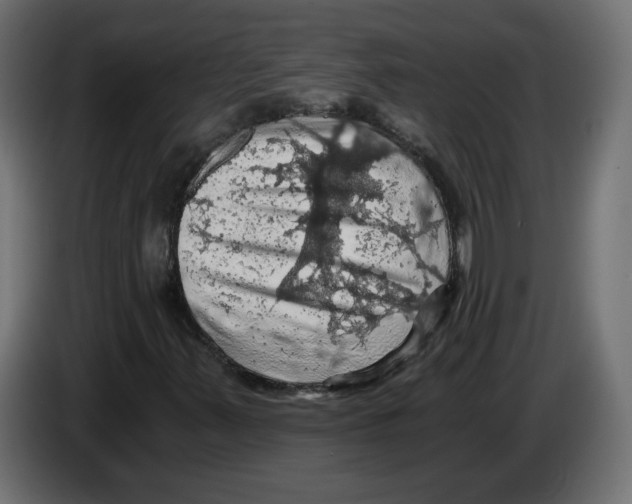 X0000084531347200703231643