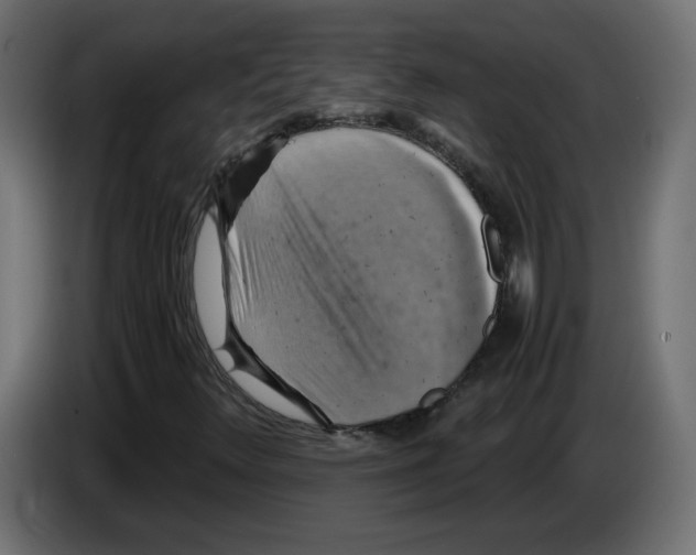 X0000084531348200703231643