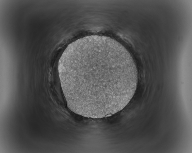 X0000084531349200703231643
