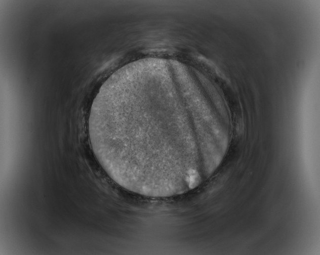 X0000084531350200703231643