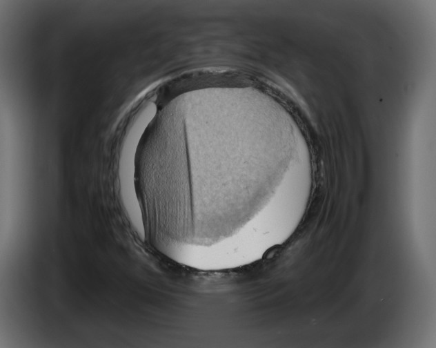 X0000084531352200703231643