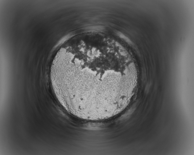 X0000084531354200703231643