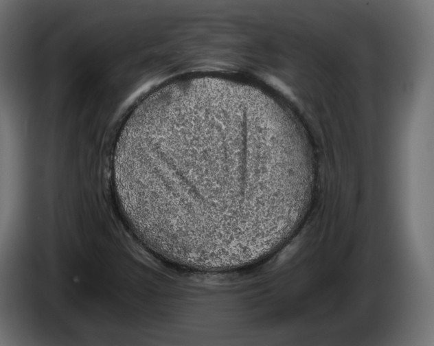 X0000084531355200703231643