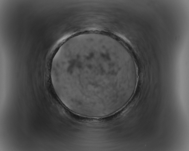 X0000084531359200703231643