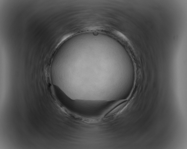 X0000084531361200703231643