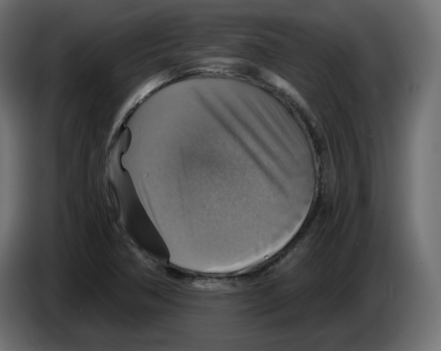 X0000084531362200703231643