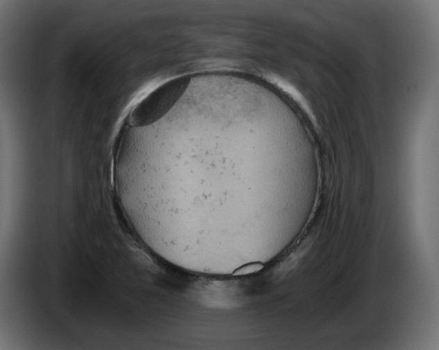 X0000084531365200703231643