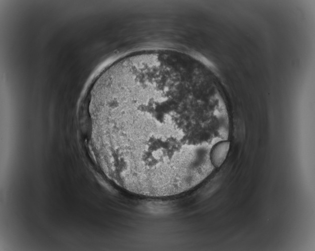 X0000084531366200703231643