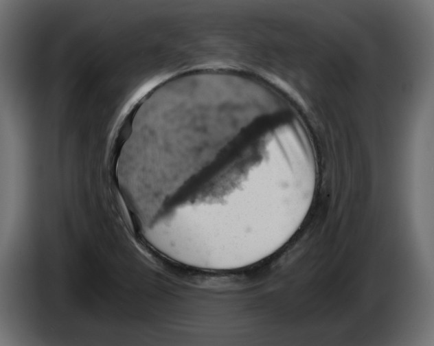 X0000084531367200703231643