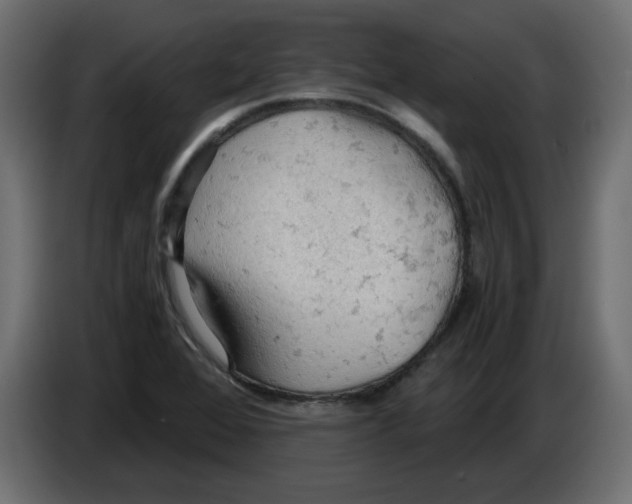 X0000084531368200703231643