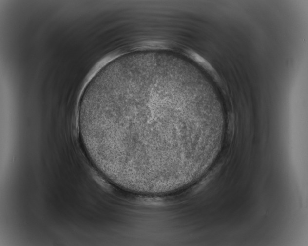 X0000084531370200703231643