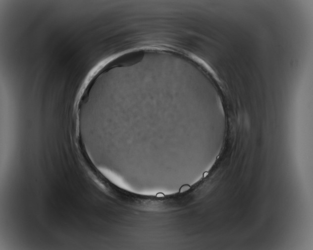X0000084531371200703231643