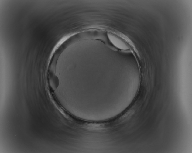 X0000084531373200703231643