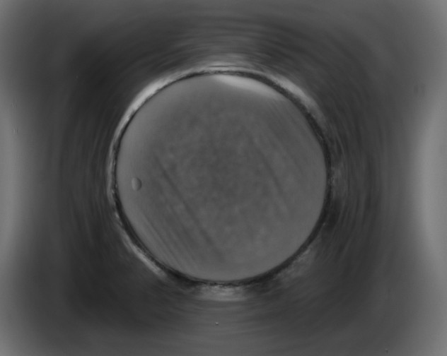 X0000084531374200703231643