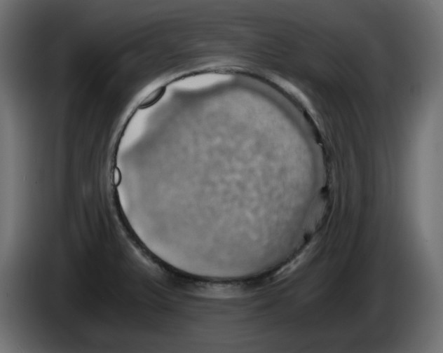 X0000084531375200703231643