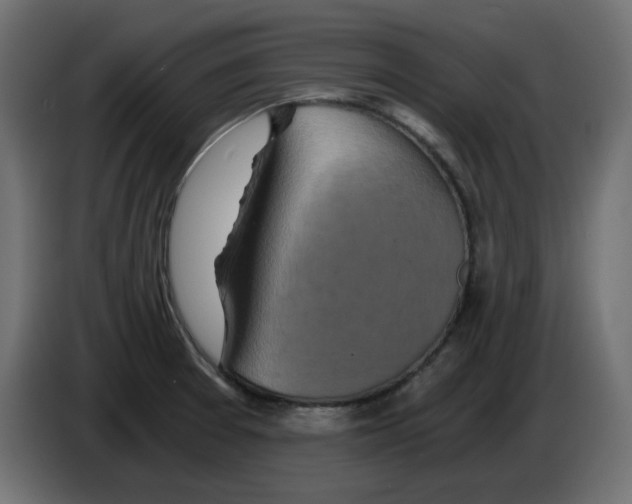 X0000084531377200703231643