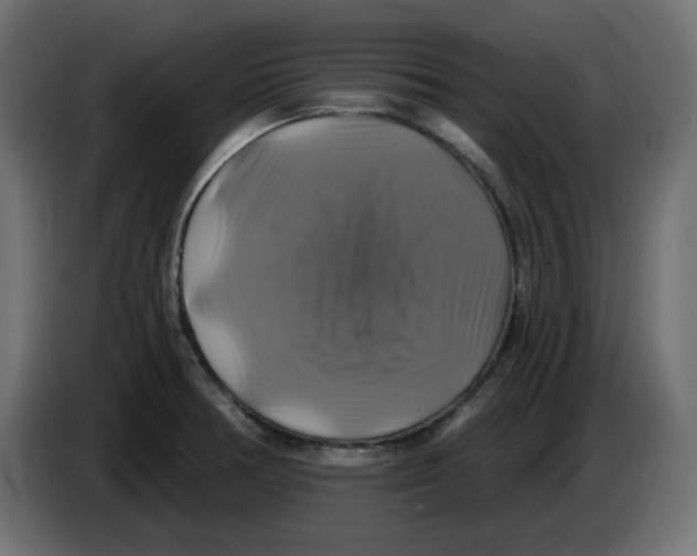 X0000084531378200703231643