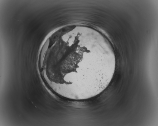 X0000084531379200703231643