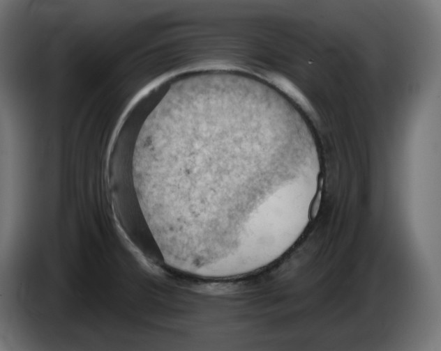 X0000084531380200703231643
