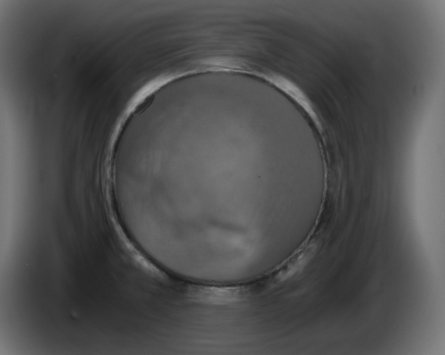 X0000084531381200703231643