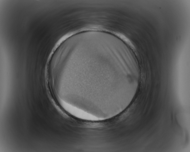X0000084531382200703231643