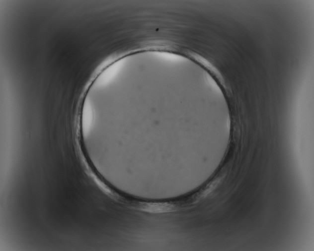 X0000084531383200703231643