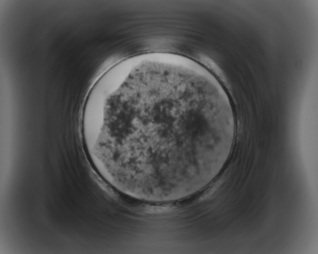 X0000084531386200703231643