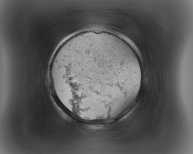 X0000084531388200703231643