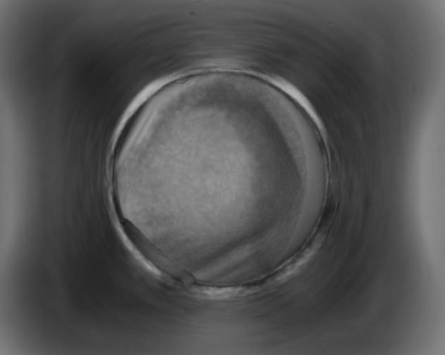 X0000084531389200703231643