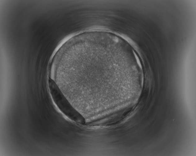 X0000084531390200703231643
