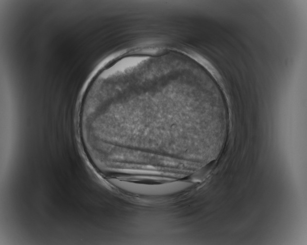 X0000084531392200703231643