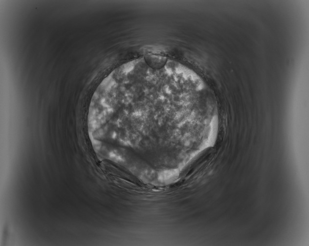 X0000084531393200703231642